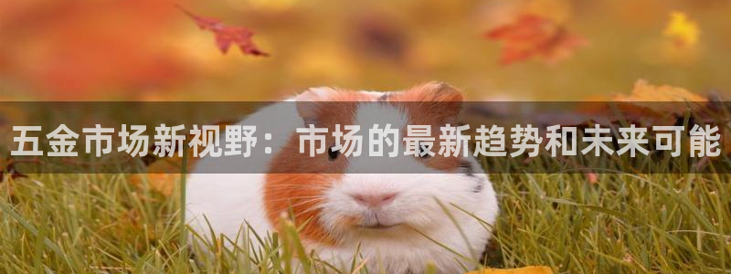 天狮娱乐怎么做