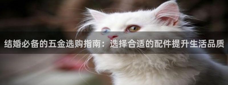 天狮娱乐61116