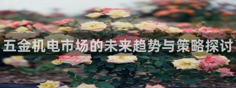 天狮娱乐 23976实z力