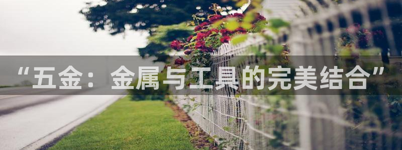 天狮娱乐股东主管