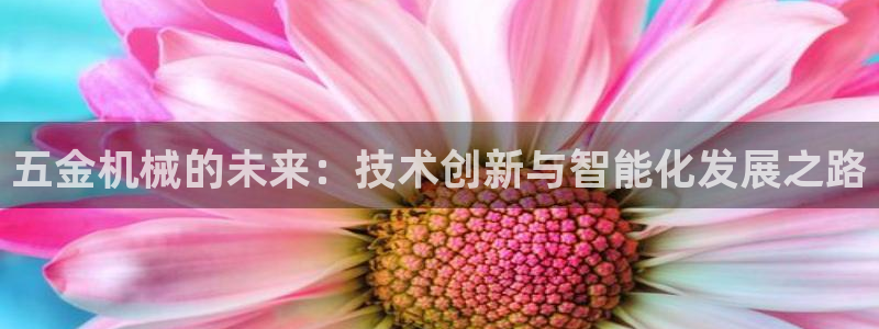 天狮娱乐黑千