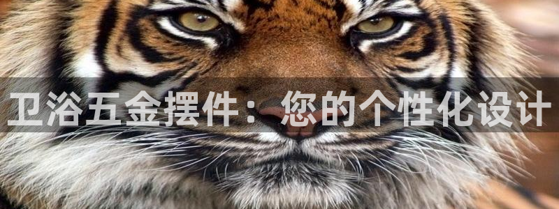 天狮娱乐妙言