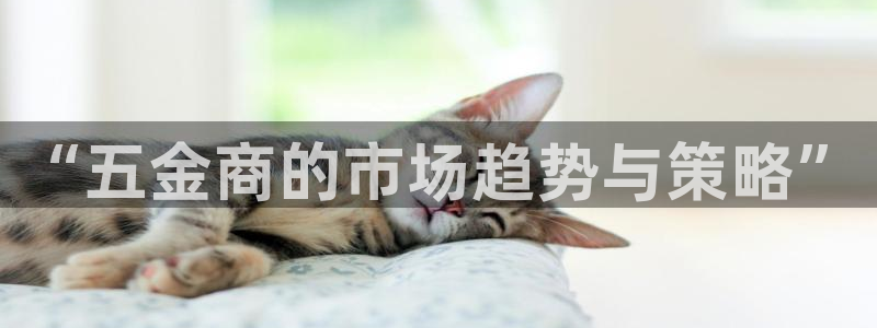 天狮娱乐 送彩金酷赢