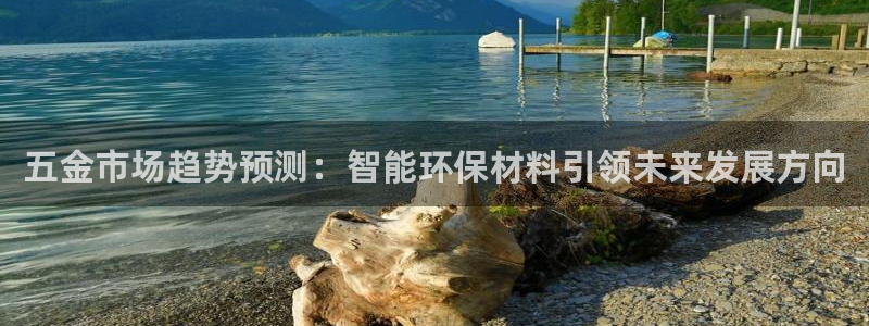 天狮娱乐股东代理