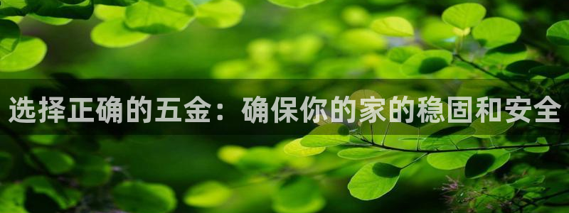 天狮娱乐 a招商60447