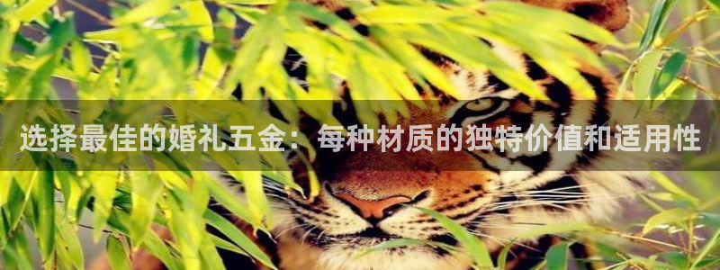 天狮娱乐26日判官333oo