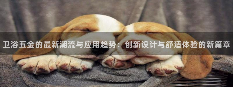 天狮娱乐i 判官