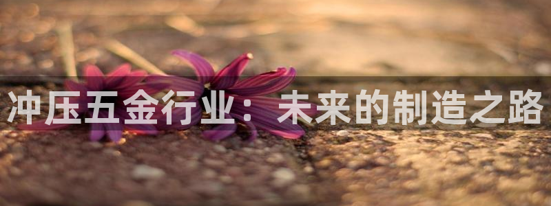 天狮娱乐开户