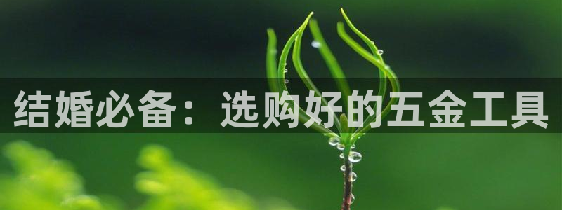 天狮娱乐 a招商60447