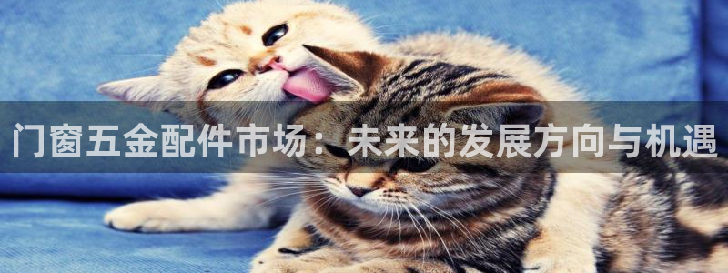天狮娱乐怎么做