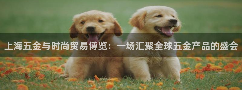 天狮娱乐 a招商67646