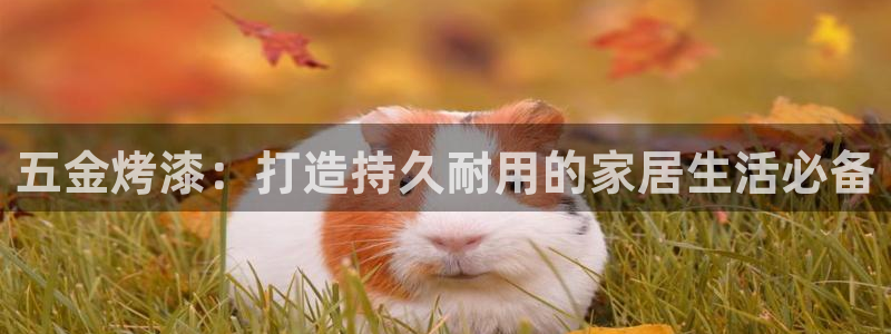 天狮娱乐怎么下载