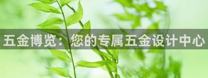 天狮娱乐招代理