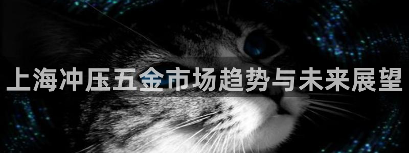 天狮娱乐主管66六26