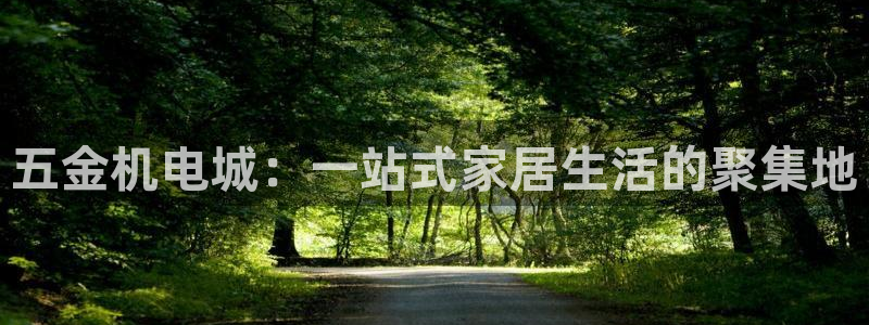 天狮娱乐是做什么的