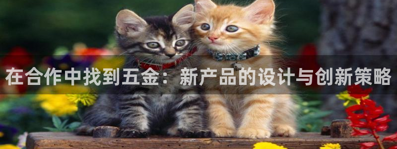 天狮娱乐f 判官