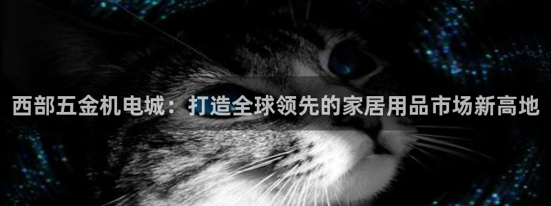 天狮娱乐股东待遇