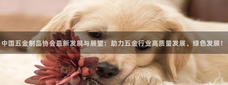 天狮娱乐61116