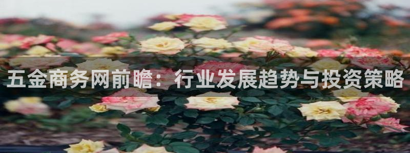 天狮娱乐代理最高多少钱