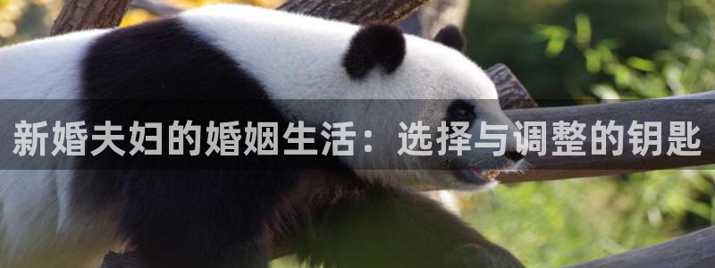 天狮娱乐彩票合法吗