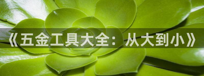 天狮娱乐最新版本