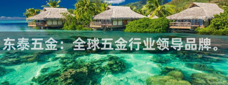 天狮娱乐主管