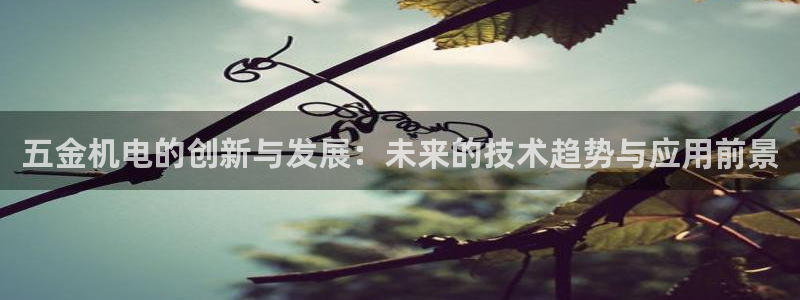 天狮娱乐主管待遇